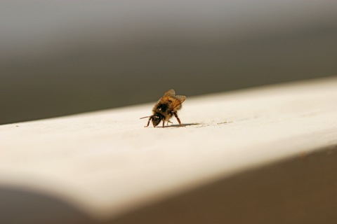 resting_2